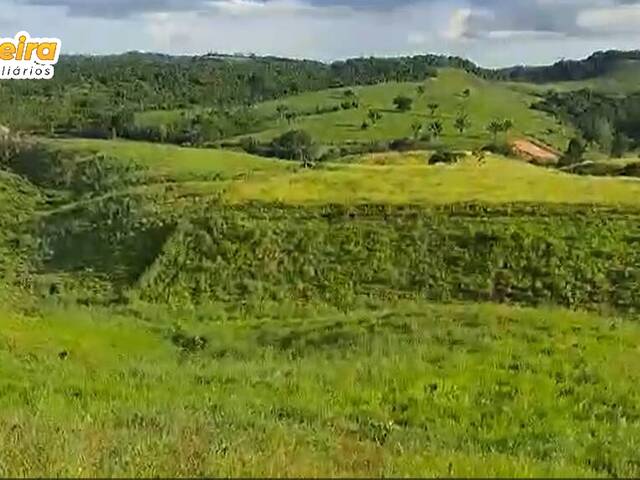 #2888 - Fazenda para Venda em Jacundá - PA - 1