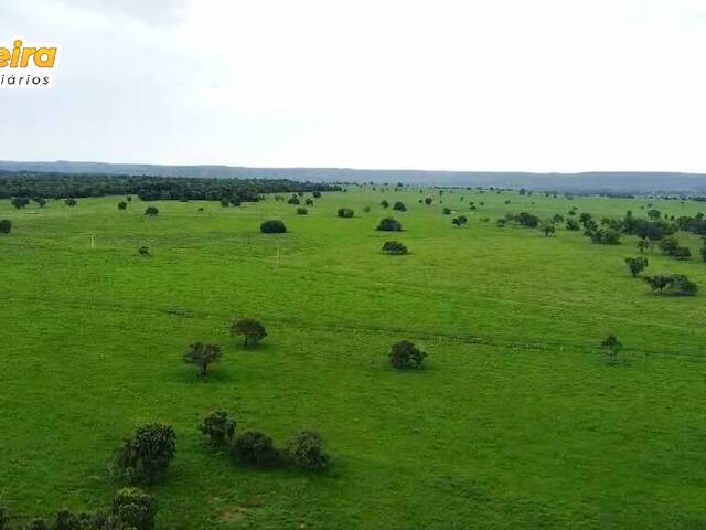 Fazenda para Venda em Bonito - 5