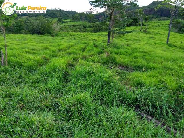 Fazenda para Venda em Rondonópolis - 4