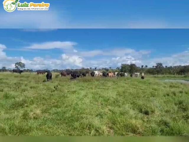 #2892 - Fazenda para Venda em Alcinópolis - MS - 3