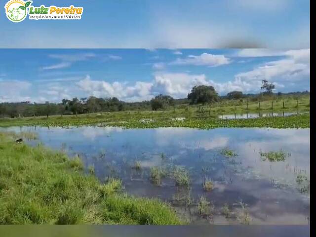 Fazenda para Venda em Alcinópolis - 5