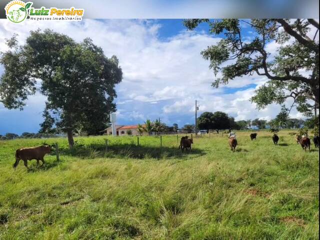 Fazenda para Venda em Alcinópolis - 4