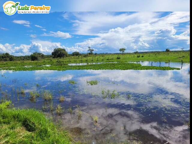 #2892 - Fazenda para Venda em Alcinópolis - MS - 1