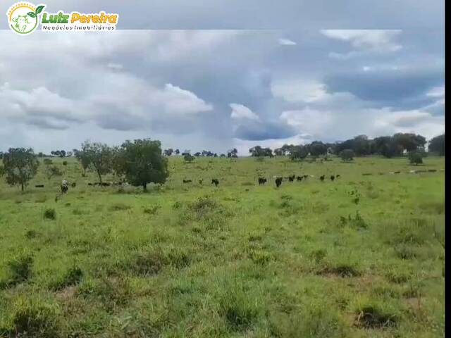 #2892 - Fazenda para Venda em Alcinópolis - MS - 2