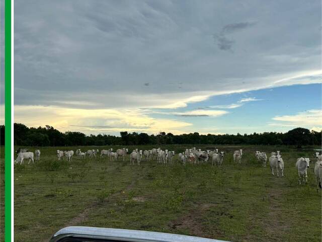 Fazenda para Venda em Rondonópolis - 4