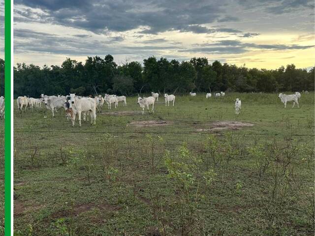 Fazenda para Venda em Rondonópolis - 5