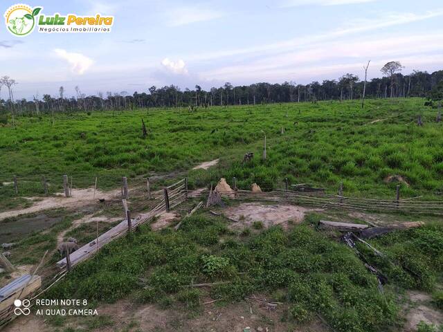 #2894 - Fazenda para Venda em Bagre - PA - 2