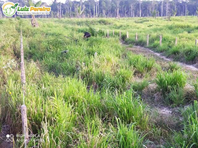 #2894 - Fazenda para Venda em Bagre - PA - 3