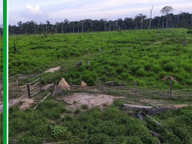 Fazenda para Venda em Bagre - 4