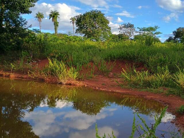 Fazenda para Venda em Araguaína - 4