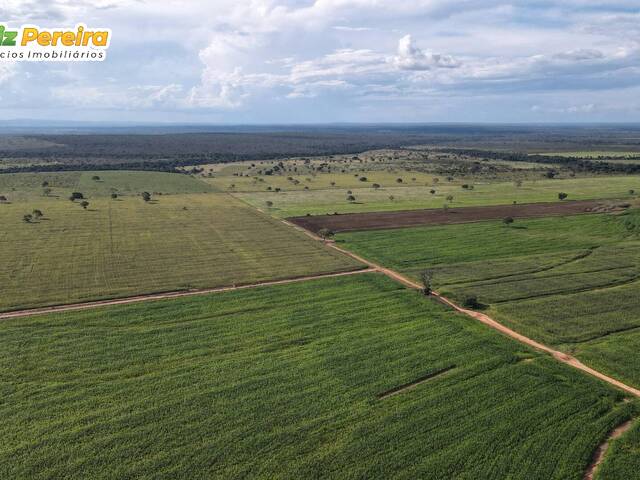 Fazenda para Venda em Araguaína - 5