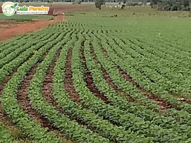 Venda em Jardim Imá - Campo Grande