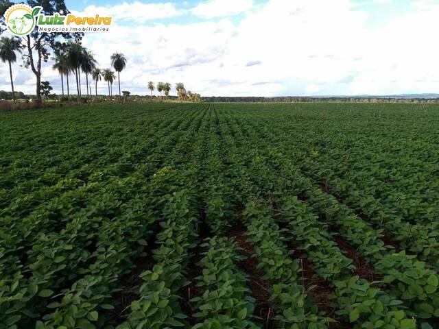 #2898 - Fazenda para Venda em Campo Grande - MS - 2