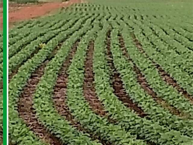 Fazenda para Venda em Campo Grande - 4