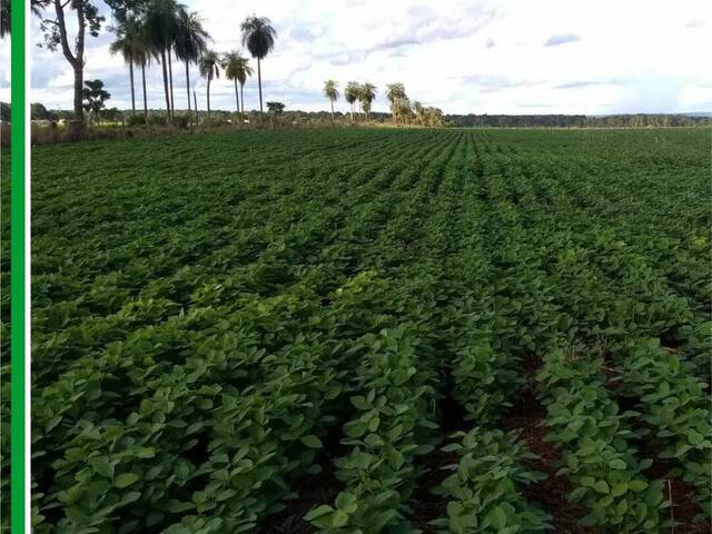 Fazenda para Venda em Campo Grande - 5