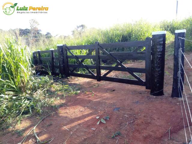 Fazenda para Venda em Pacajá - 4