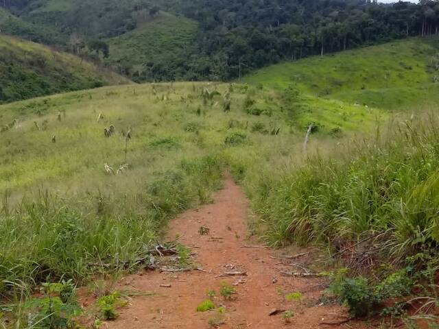 Fazenda para Venda em Pacajá - 5