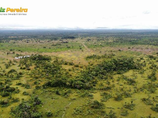 Fazenda para Venda em Floresta do Araguaia - 4