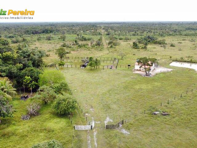 Fazenda para Venda em Floresta do Araguaia - 5