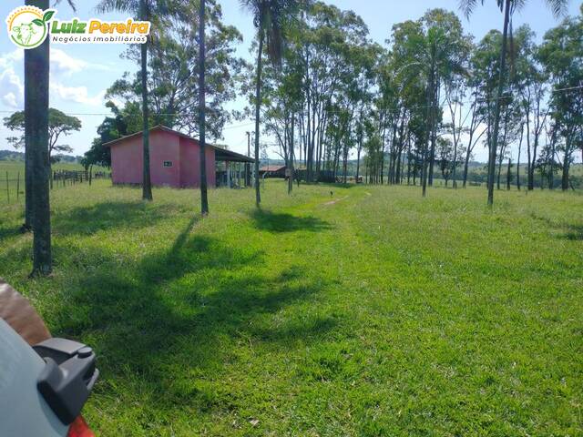 Fazenda para Venda em Inocência - 5