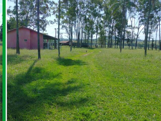 Fazenda para Venda em Inocência - 4