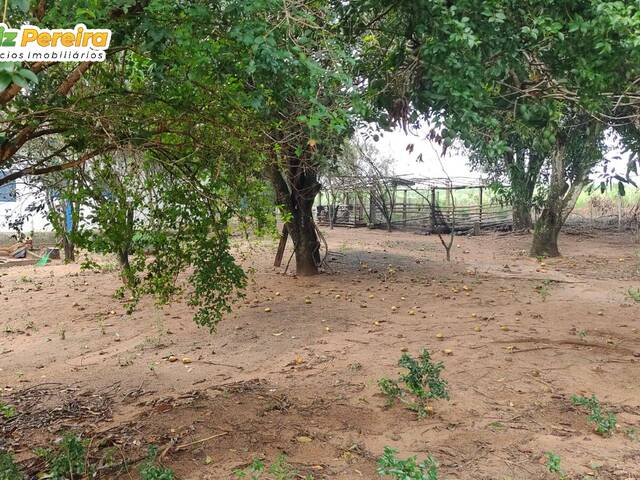 #2902 - Fazenda para Venda em Paraíso das Águas - MS - 3