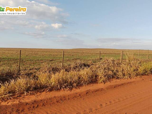 Fazenda para Venda em Paraíso das Águas - 5