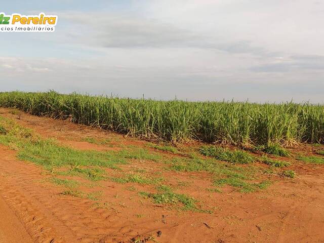 #2902 - Fazenda para Venda em Paraíso das Águas - MS