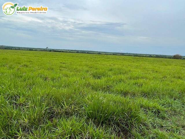 Fazenda para Venda em Aparecida do Rio Negro - 4