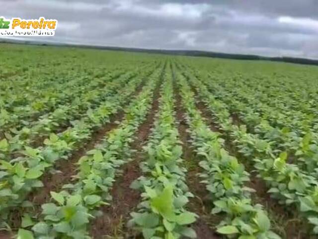 #2903 - Fazenda para Venda em Aparecida do Rio Negro - TO - 3