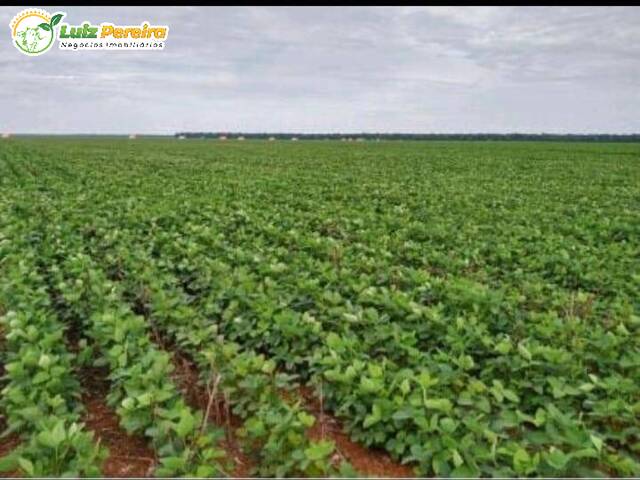 #2903 - Fazenda para Venda em Aparecida do Rio Negro - TO - 2