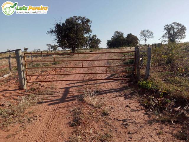 Fazenda para Venda em Camapuã - 4