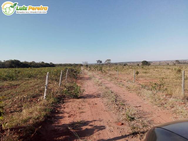 Fazenda para Venda em Camapuã - 5
