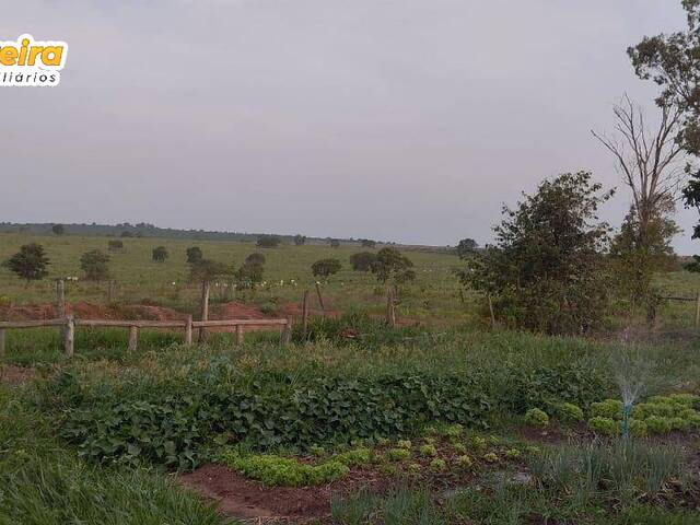 #2905 - Fazenda para Venda em Sonora - MS - 3