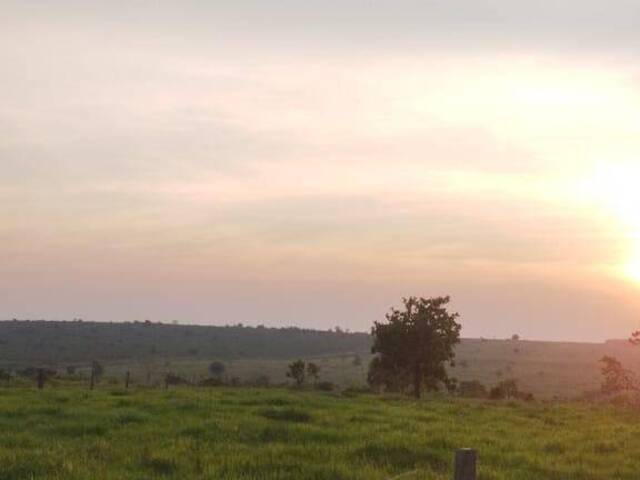 Fazenda para Venda em Sonora - 4
