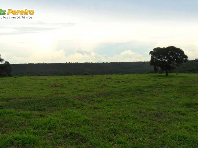#2907 - Fazenda para Venda em Palmas - TO - 3