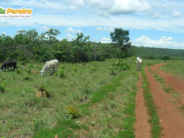 Fazenda para Venda em Palmas - 5