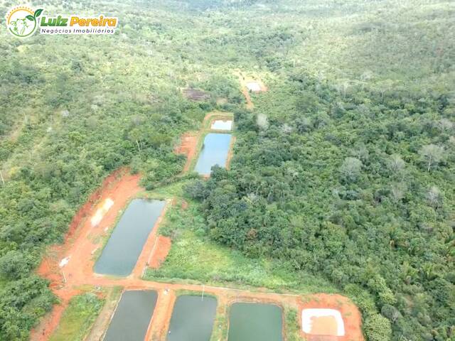 #2907 - Fazenda para Venda em Palmas - TO