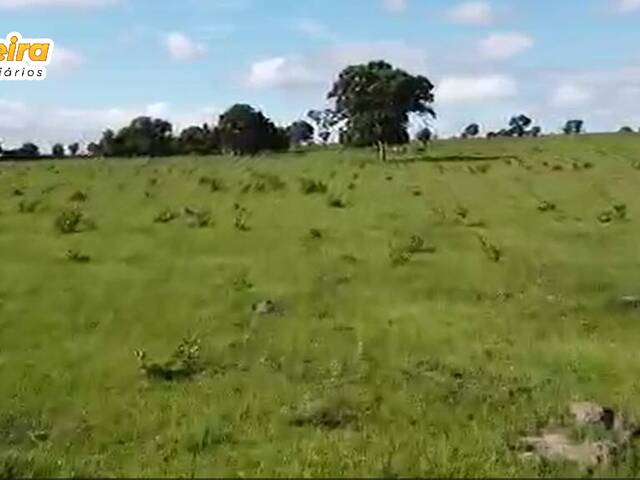 #2908 - Fazenda para Venda em Chapadão do Sul - MS - 2