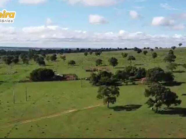#2908 - Fazenda para Venda em Chapadão do Sul - MS - 3