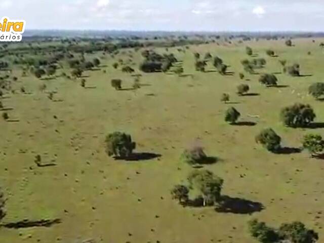 Fazenda para Venda em Chapadão do Sul - 4
