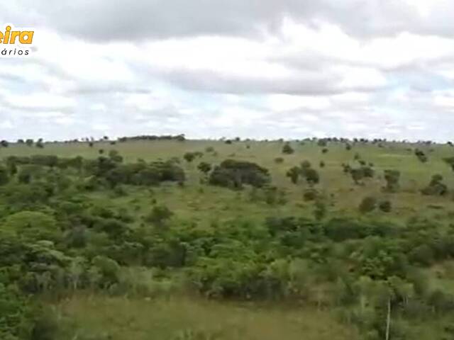 Fazenda para Venda em Chapadão do Sul - 5