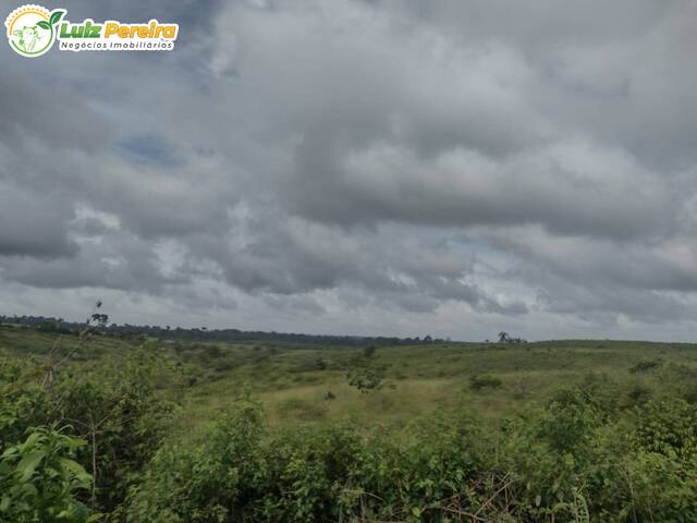 #2910 - Fazenda para Venda em Breu Branco - PA - 3