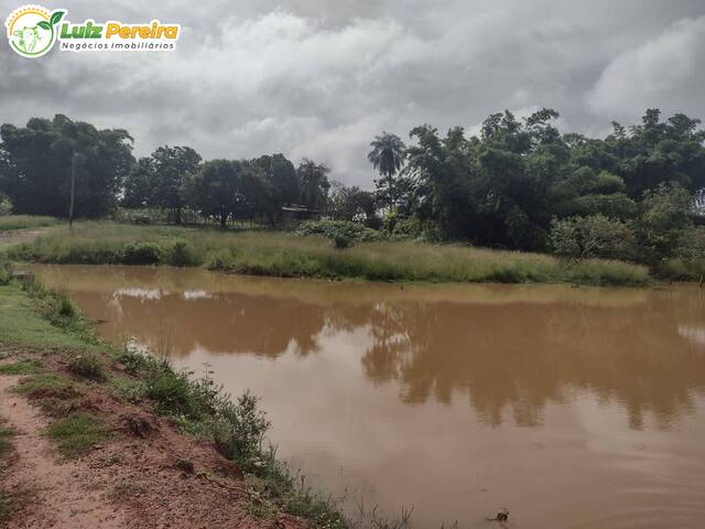 #2910 - Fazenda para Venda em Breu Branco - PA