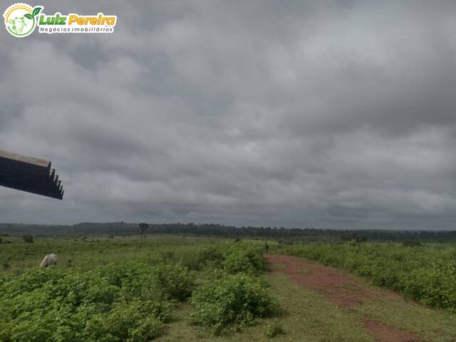 Fazenda para Venda em Breu Branco - 5