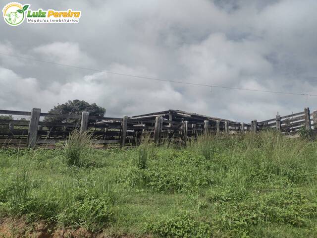 Fazenda para Venda em Breu Branco - 4