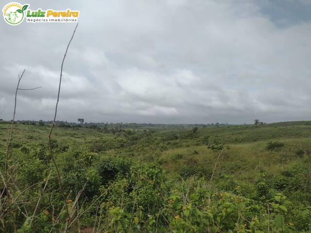 #2910 - Fazenda para Venda em Breu Branco - PA - 2