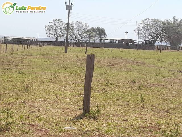 Fazenda para Venda em Camapuã - 4