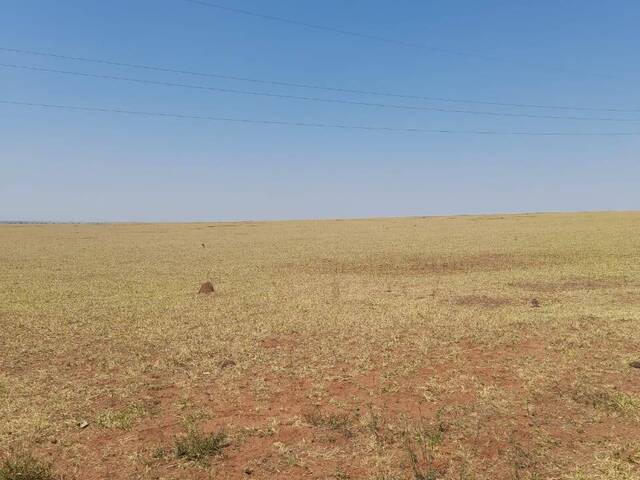 Fazenda para Venda em Camapuã - 5