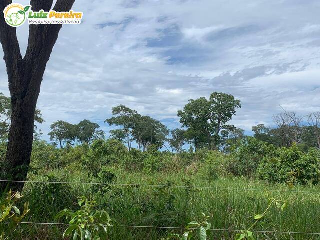 #2912 - Fazenda para Venda em Ribas do Rio Pardo - MS - 2